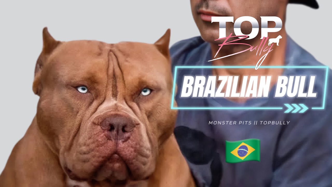 MONSTER PITS aka The Brazilian Bull
