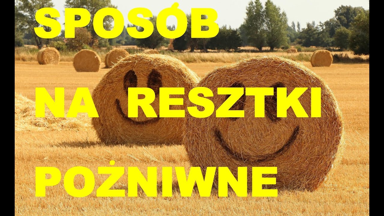 Resztki  pożniwne z Humusem. Jak działa i dlaczego należy stosować. Żniwa 2022 #rolnictwo