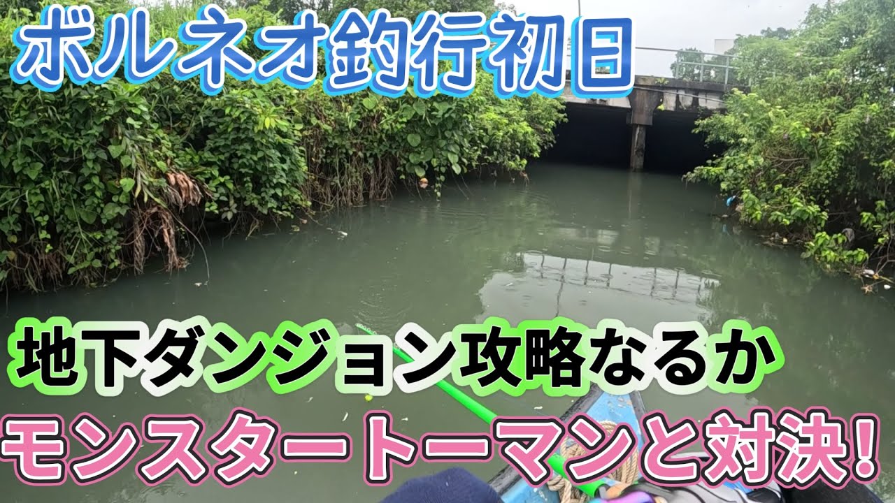 ボルネオ釣行初日：地下ダンジョンにトーマンが現れた！First day of fishing in Borneo: Toman appears in the underground dungeon!