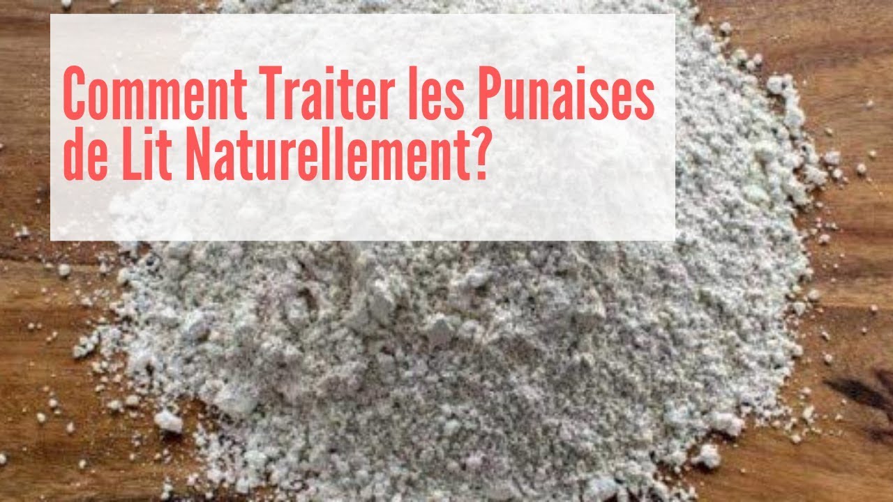 Comment se Débarrasser des Punaises de Lit Naturellement - Comment se Débarrasser des Puces de Lit