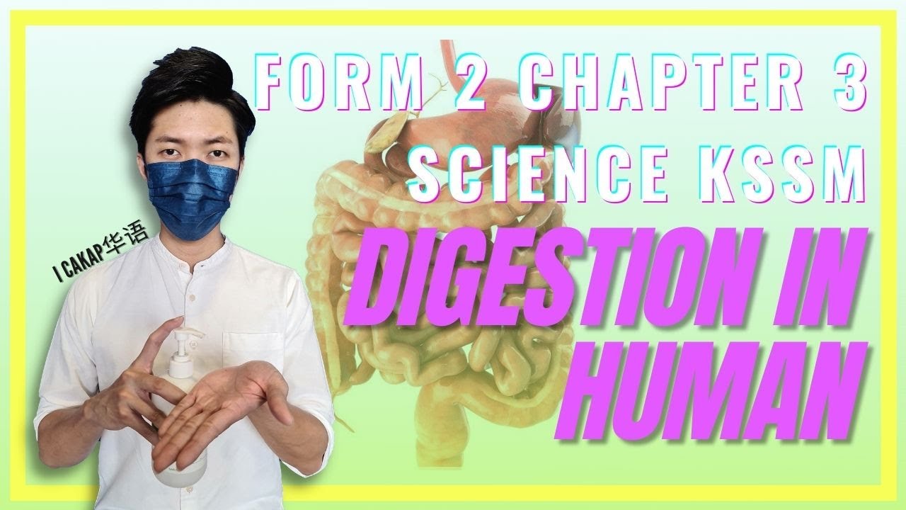 SCIENCE FORM 2 CHAPTER 3 KSSM || DIGESTION IN HUMAN || I CAKAP 华语