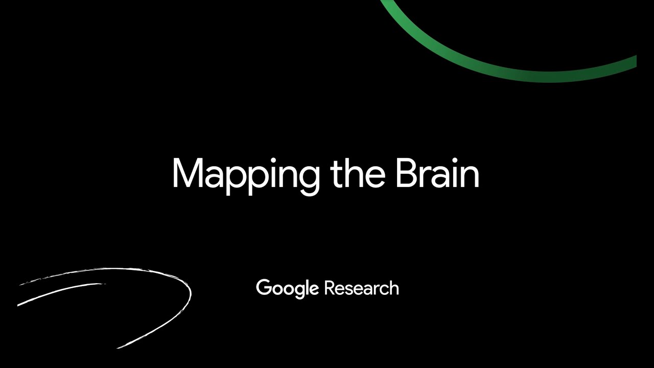 Research@ NYC: Mapping the Brain