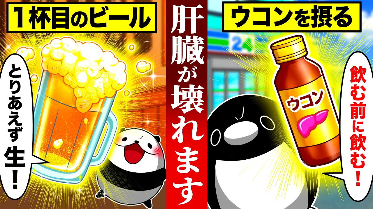 【お酒の新常識】肝臓がぶっこわれるお酒の飲み方６選【総集編】【アニメ】