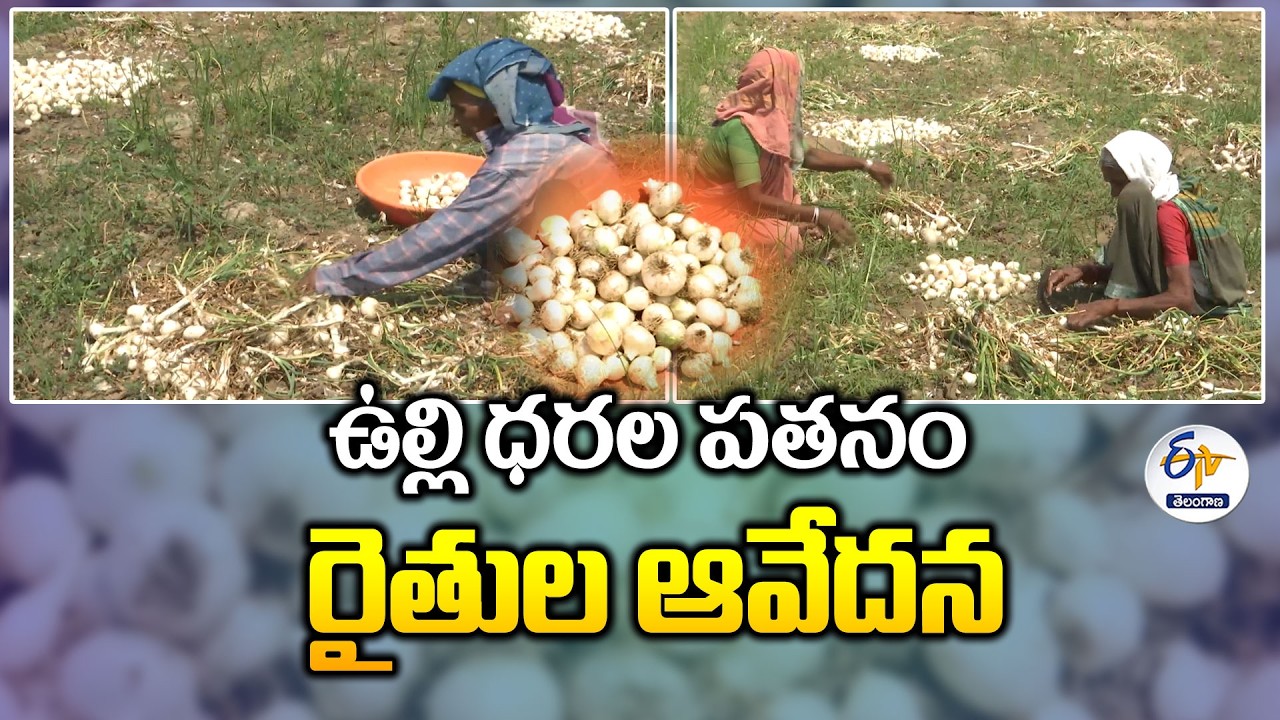Onion Farmers Crisis in Nizamabad | Prices Crash, Farmers Struggle