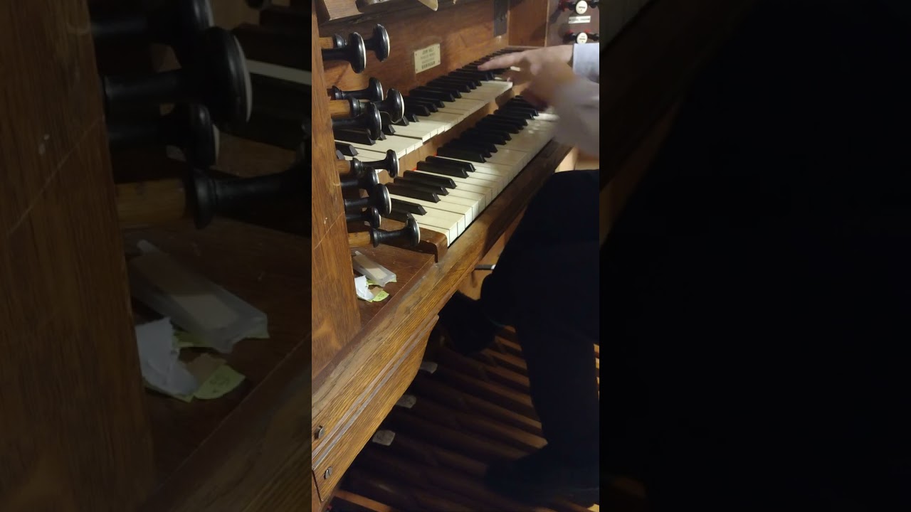 Organ Sonata: Finale (John Holt) Harmonium