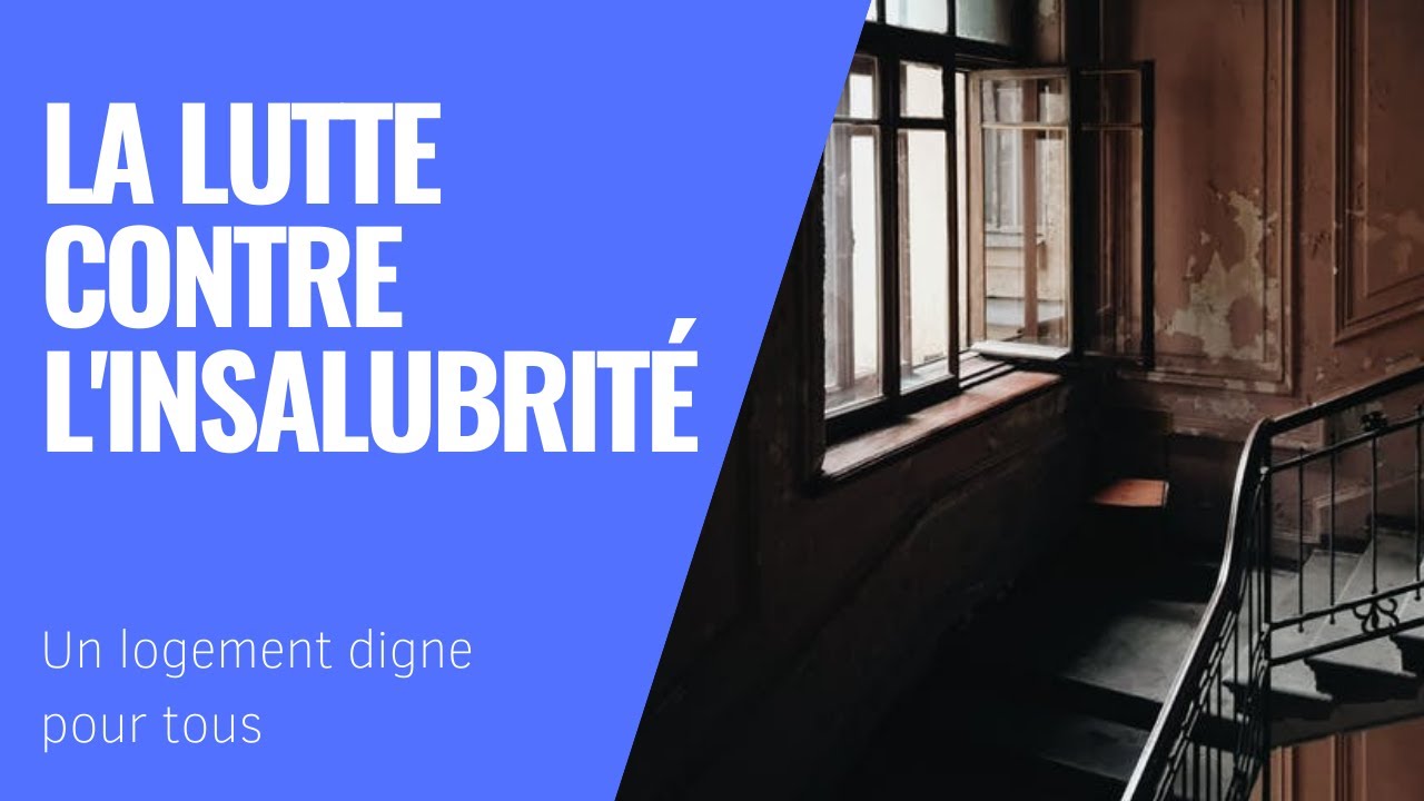 Comment Paris lutte contre le logement indigne