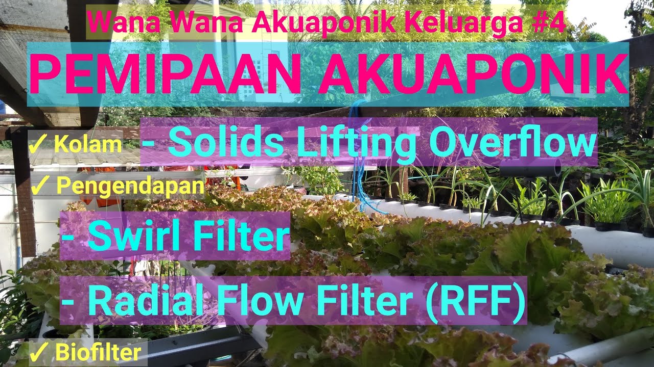 #4  (Pemipaan Akuaponik SLO, Swirl Dan RFF). #akuaponik #aquaponic #pemipaanakuaponik #filter