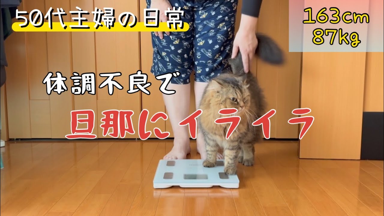 【50代の暮らし】体調が悪い時に、余計なことする旦那に腹が立ちます💢食事記録/健康/高血圧/脳梗塞/モーニングルーティン