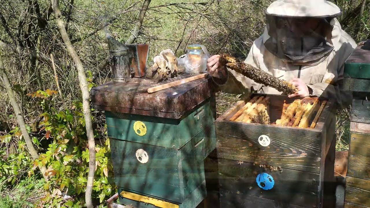 Thymol 4 + rozširovanie včelstiev.