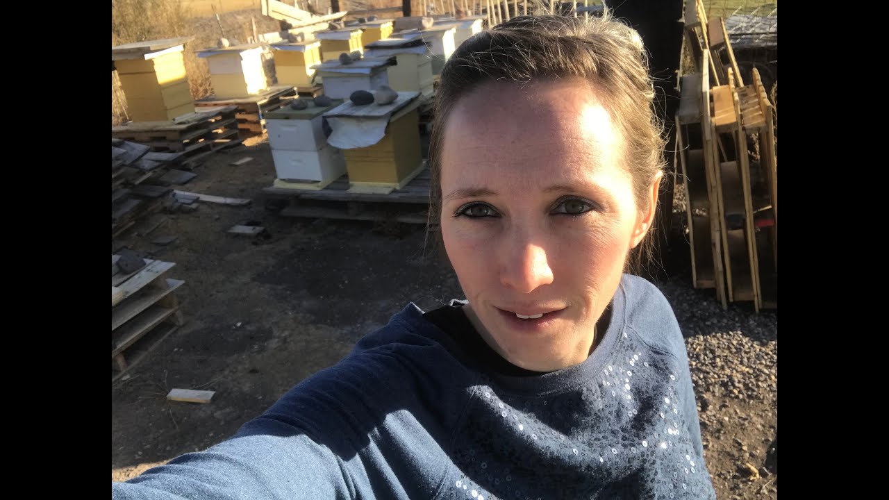 Honeybee yard, Apiary walk-through, ideas, tricks, Tour, bee yard layout, Backyard Bee Builder