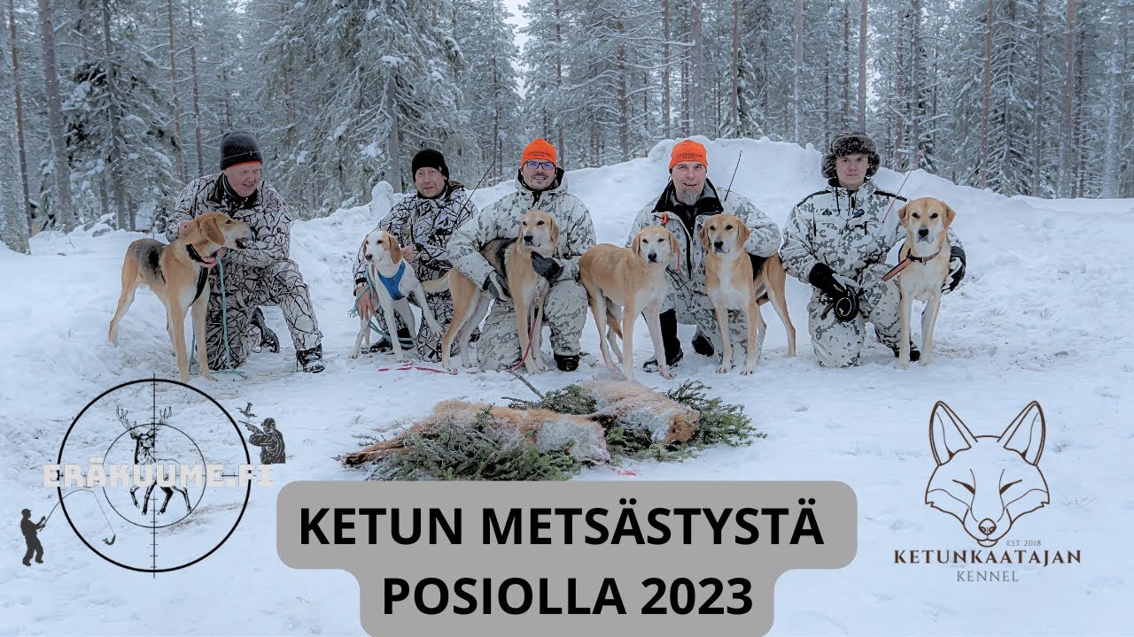 KETUN METSÄSTYSTÄ VENÄJÄNAJOKOIRALLA 2023