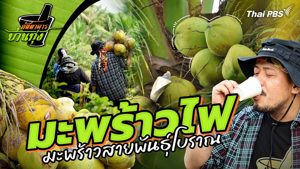 มะพร้าวไฟ | ภัตตาคารบ้านทุ่ง