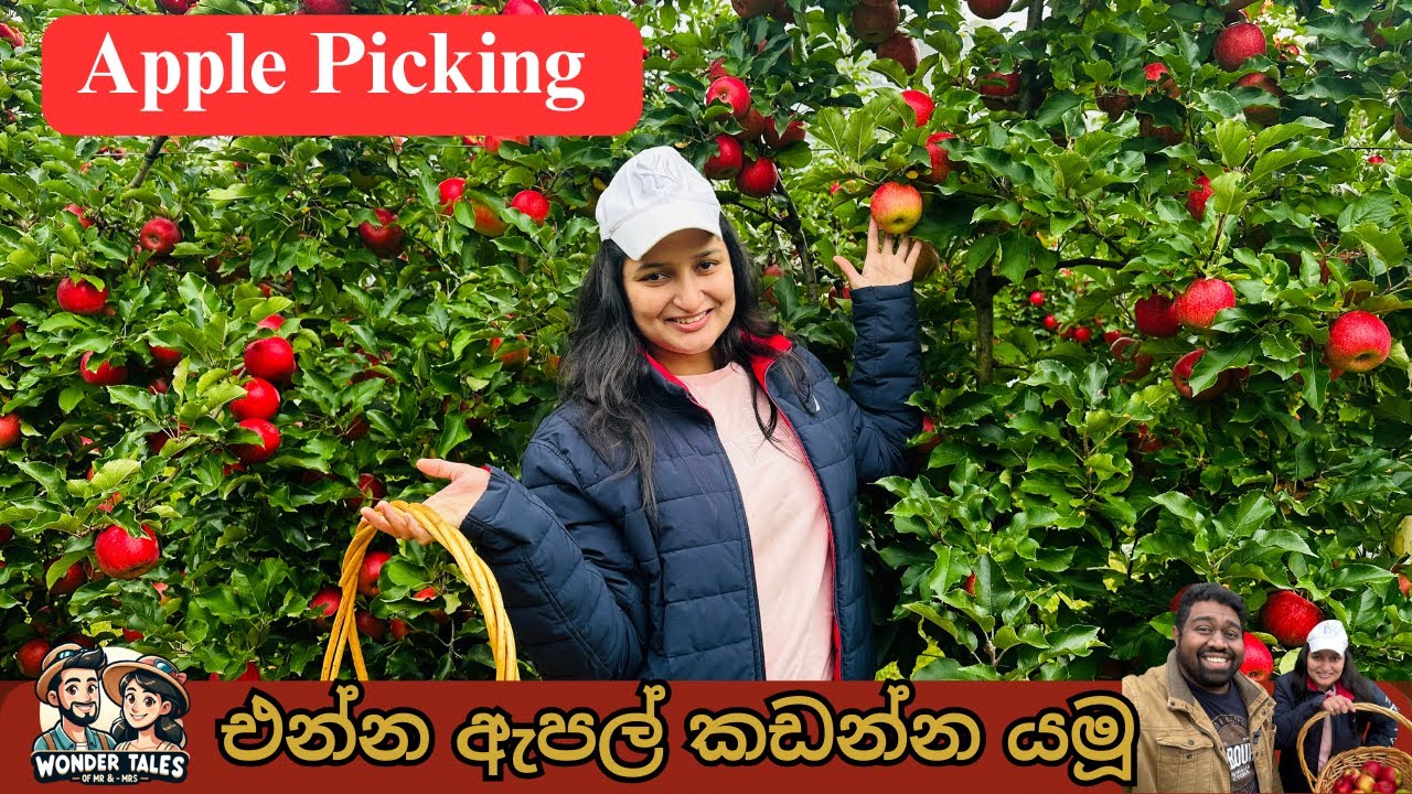 Apple picking in Melbourne | එන්න ඇපල් කඩන්න යමූ | Wonder Tales of Mr and Mrs | Apteds Orchards Farm