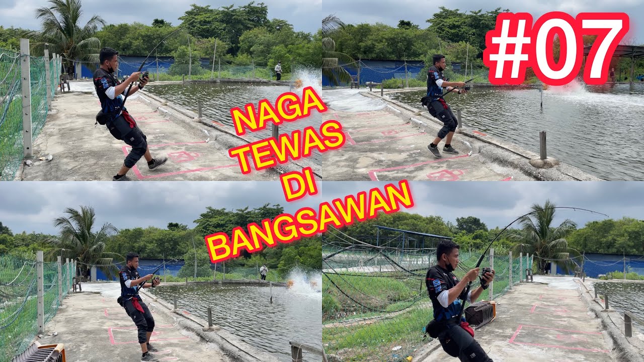 SHG KOLAM 3 - Akhirrrrrye…formasi LAMPAM JAWA membuahkan hasil,NAGA tewas hawauuu😅😄🏆