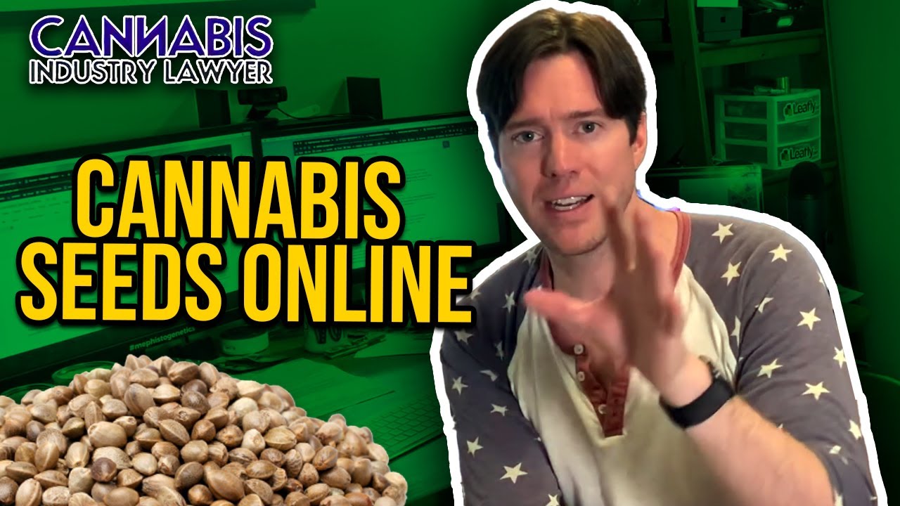 Are Online Cannabis Seeds Legal? Where to get cannabis seeds online. | Marijuana & Weed Seeds online