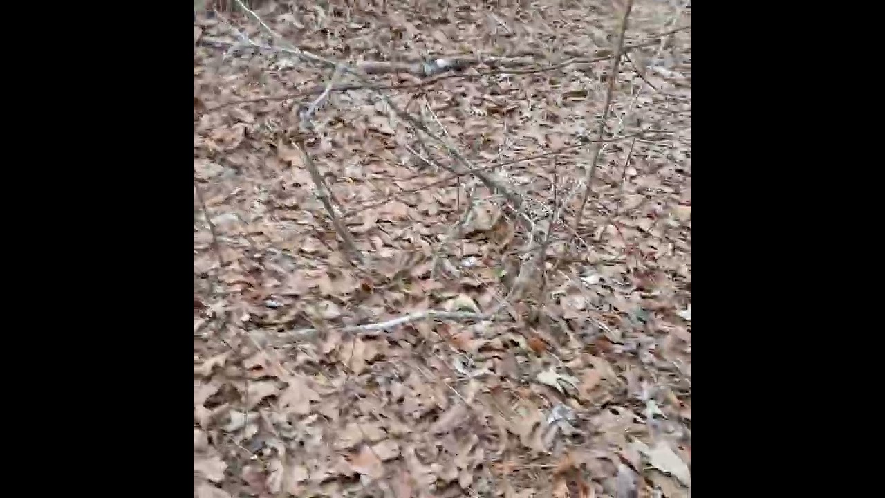 was going to the PIT but found a new trail....