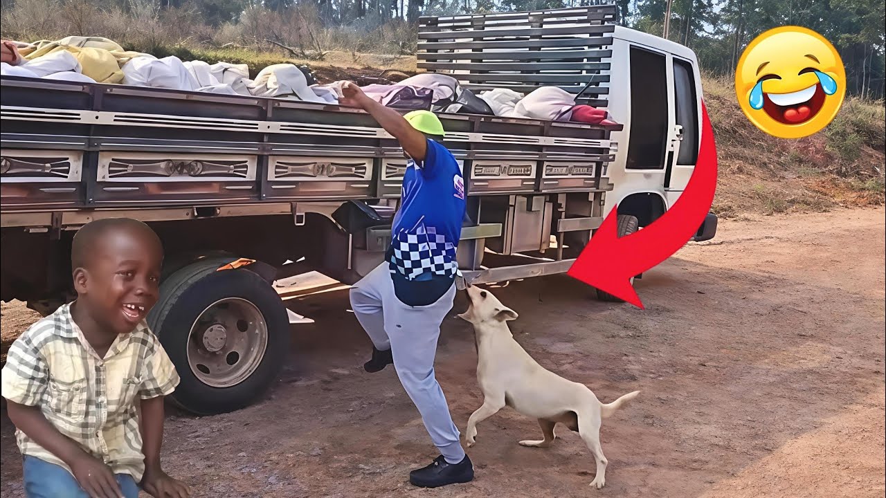 Very Funny Videos Try Not To Laugh Challenge 😂 Best Funny Comedy Video 2026