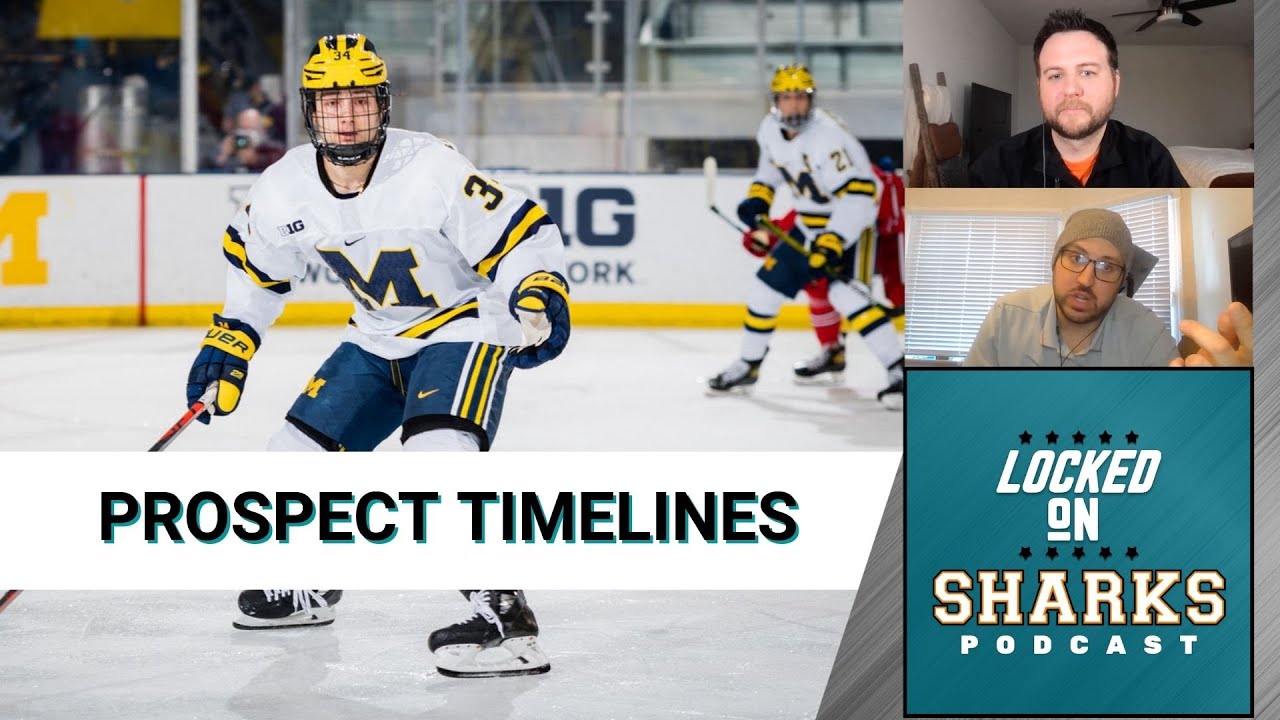 When Will We See Thomas Bordeleau, Tristen Robins, And Ben Gaudreau In San Jose?