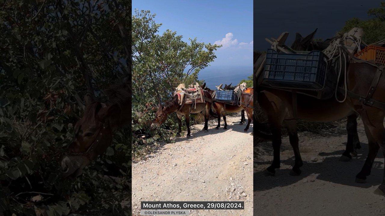 Mount Athos, Greece, 29/08/2024. 1. &copy;️Oleksandr Plyska, producer of the film &ldquo;Where are you, Adam?&raquo;