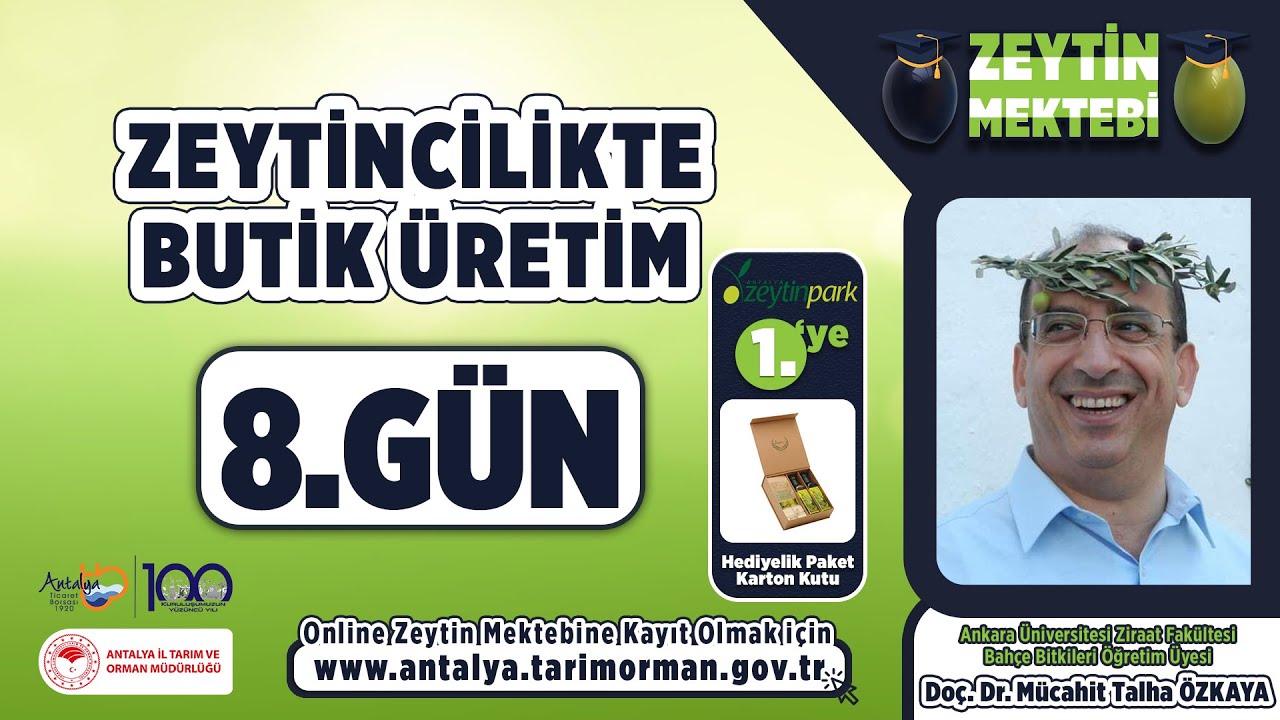 Zeytin Mektebi - Zeytincilikte Butik Üretim 8.Gün