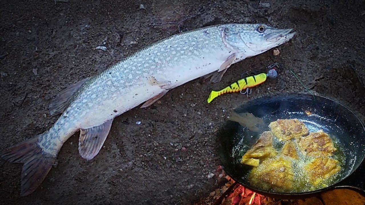 Catch Clean Cook Pike Fish