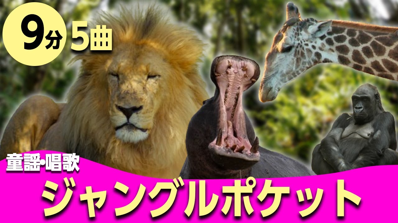 ジャングルポケット♪動物童謡メドレー〈9分5曲〉0~3歳児におすすめ！【途中スキップ広告ナシ】アニメーション/日本語歌詞付き_Sing a medley ofJapanese song