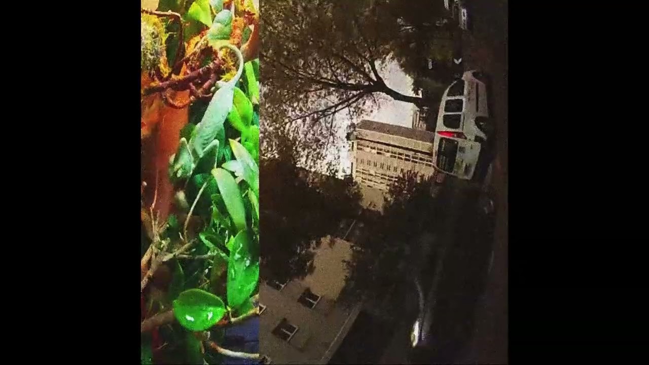 jungle jack, mairo type beat - "film italien"