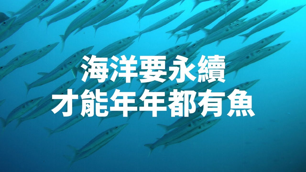 海洋要永續，才能年年都有魚｜科學大爆炸EP.74