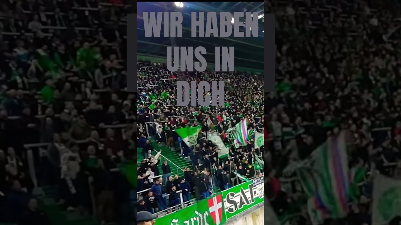 MAGISCHER SCR... RAPID ULTRAS GOING CRAZY! #shorts
