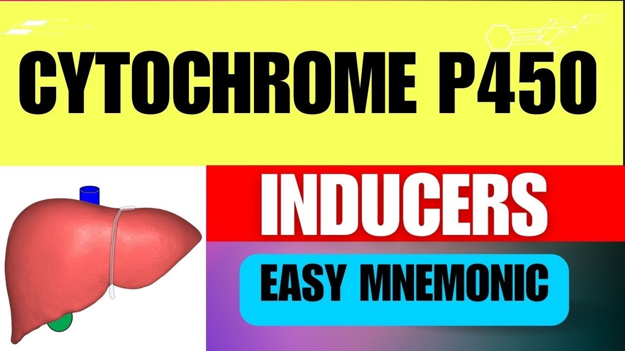 Cytochrome P450 Inducers: Easy Mnemonic, Mechanism, and Simple Explanation
