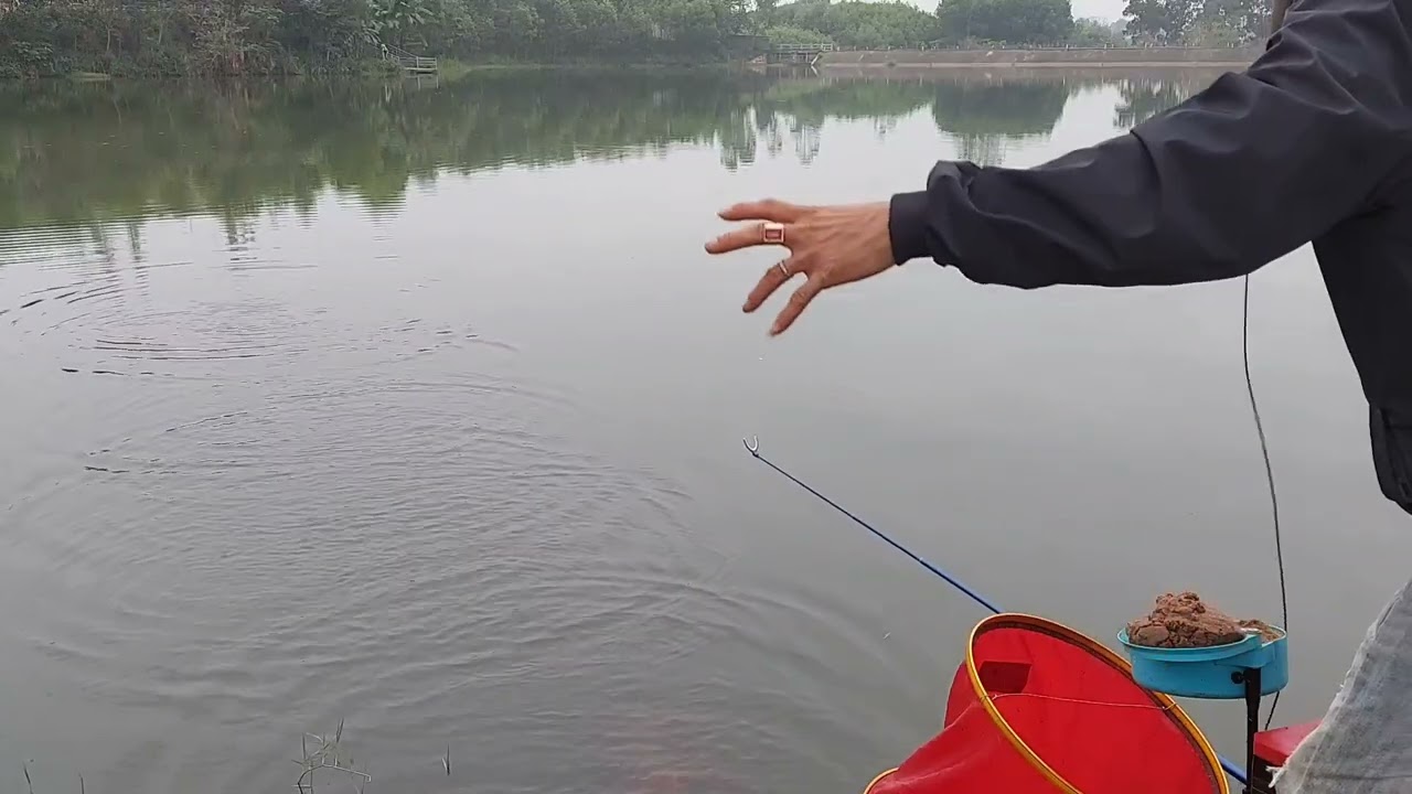 câu lục đầu cần bằng cần tay 6h . phê tít các cụ ak