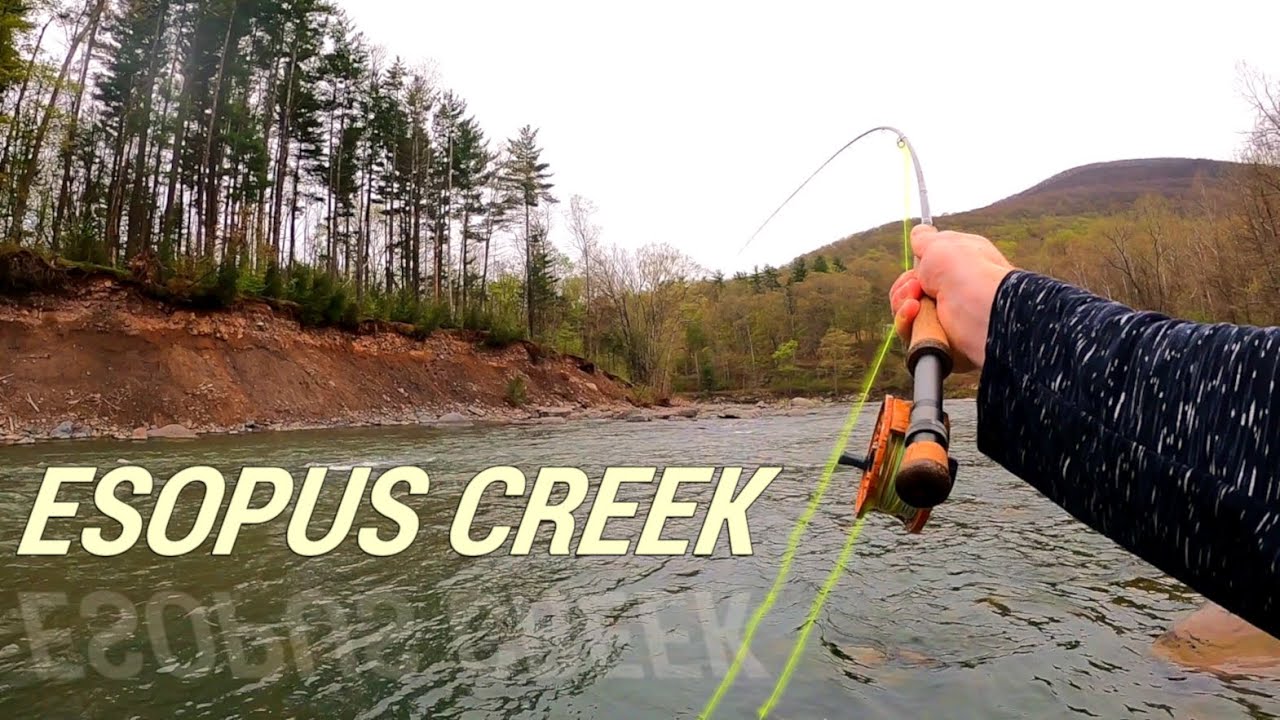 ESOPUS CREEK Fly Fishing | Catskill Mountains, NY