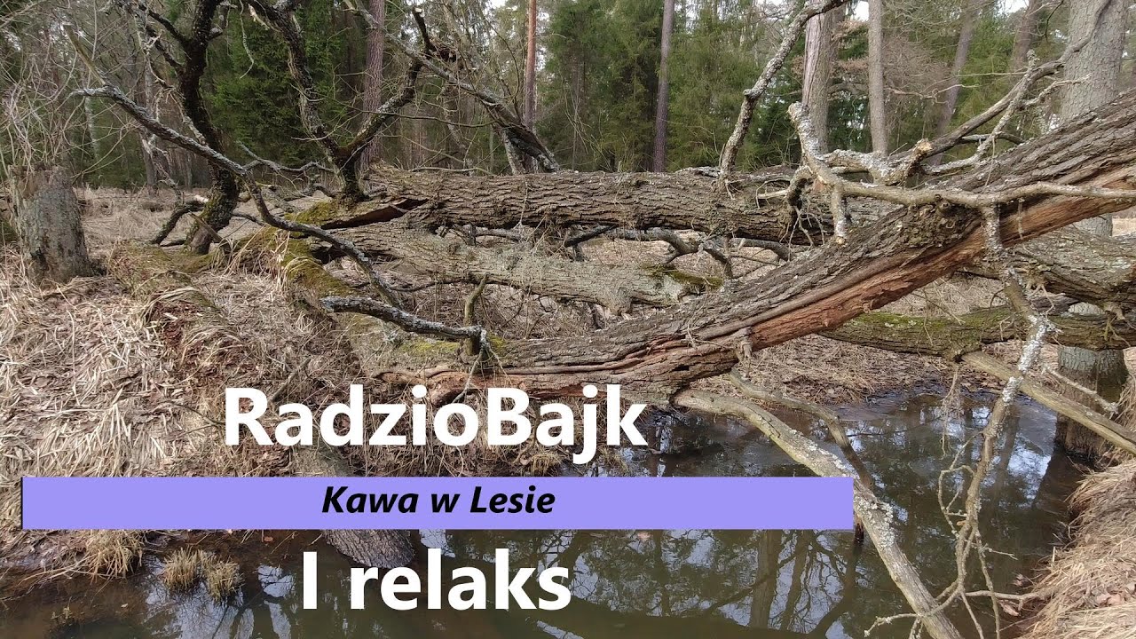 Kawa w lesie i relaks #Vlog 117