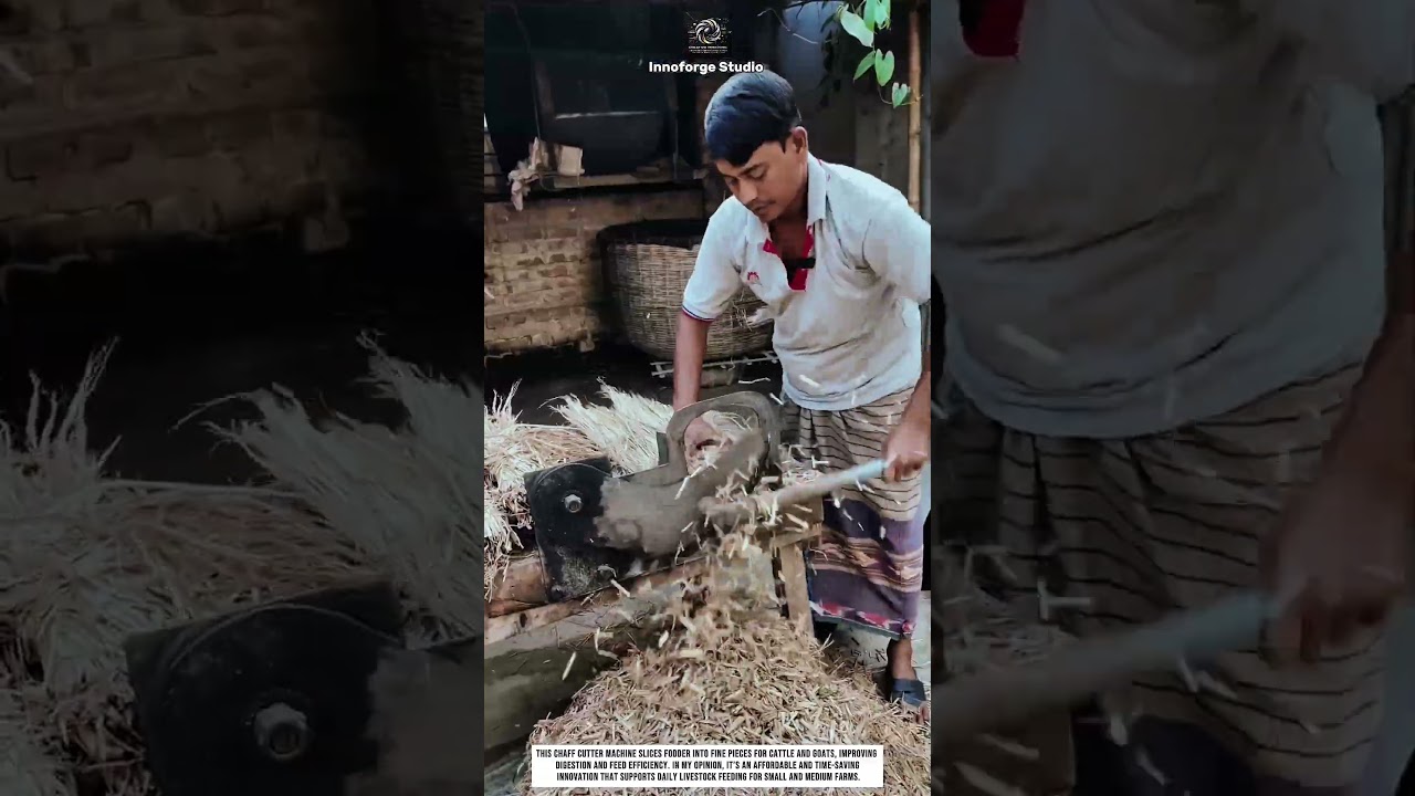 Chaff Cutting Tool Innovation for Fast and Affordable Livestock Feeding