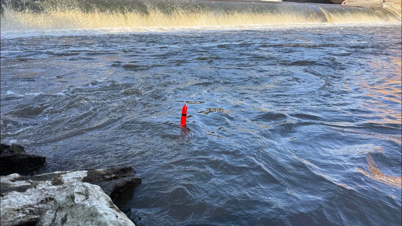 Bobber Fishing An Iowa Dam! (Lots Of Action)