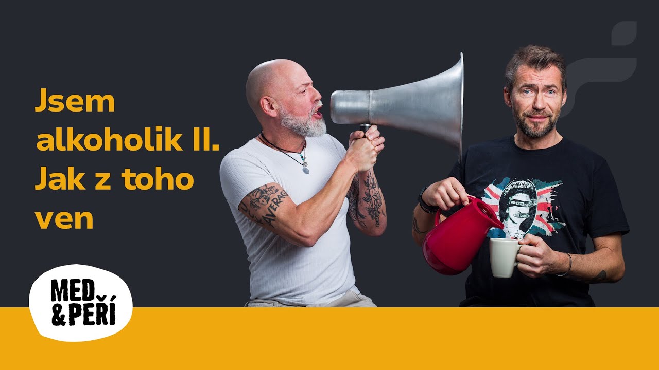 Jsem alkoholik II. Jak z toho ven