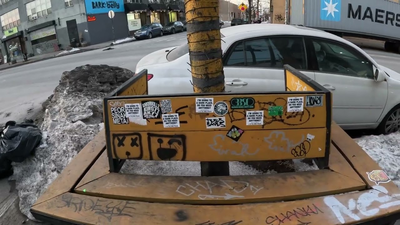 BobbyRunout's Everyday World - Flushing Ave walkdown part 2 of 2 feat. a part of Grand Ave as well