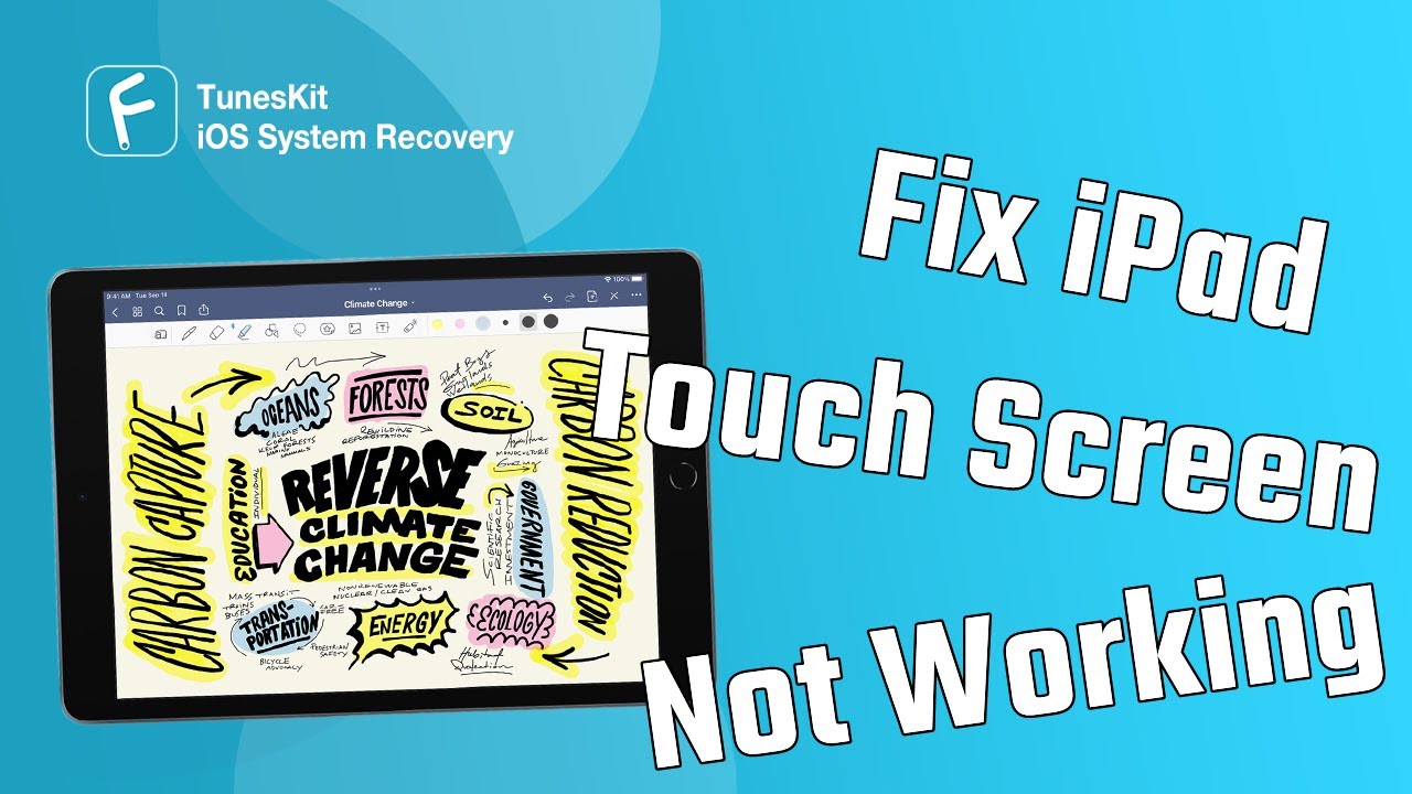 iPad Touch Screen Not Working? Fixed!