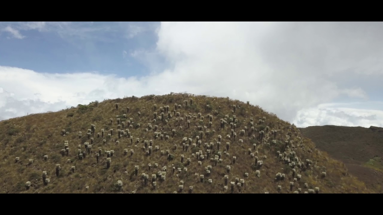Paramo de Oceta, Colombie