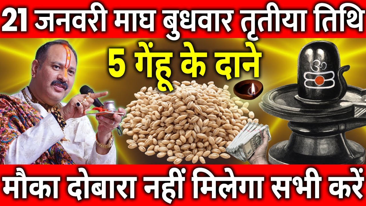 21 जनवरी माघ बुधवार तृतीया तिथि के दिन 5 गेंहू के दाने वाला उपाय जरुर करे || Pradeep Ji Mishra