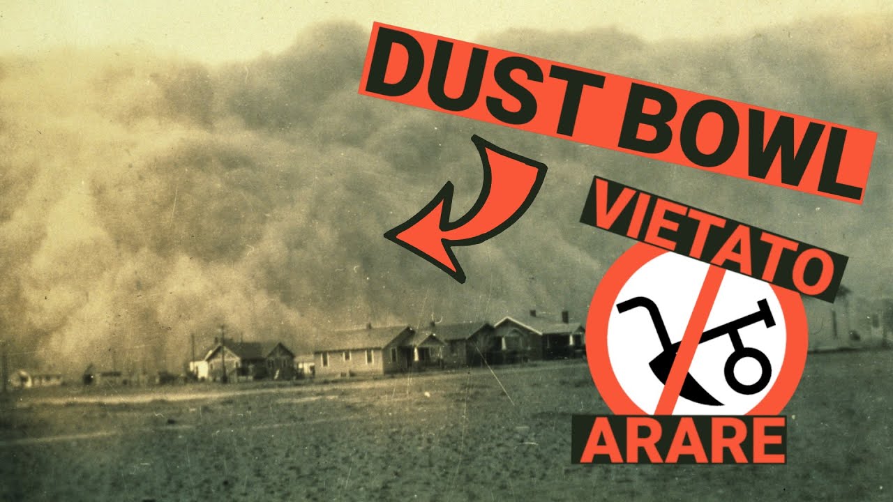 DUST BOWL - Perché in America NON ARANO?