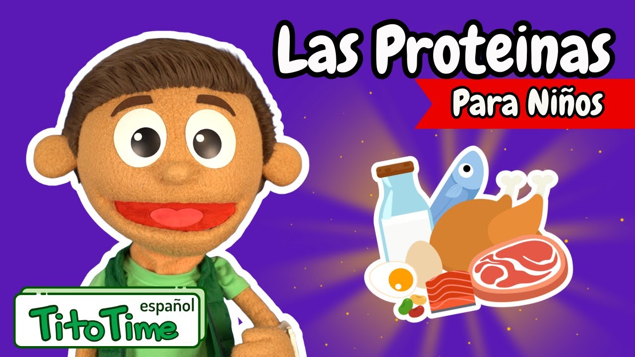 ¿Que son las Proteinas? | Videos Educativos para Niños | Aprende con Tito Time