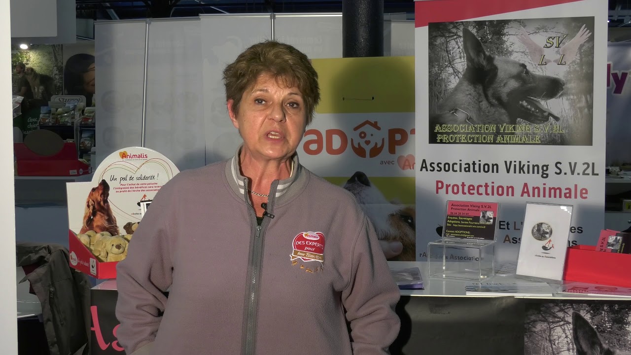 L'arche des associations - Association Viking SV2L  Protection Animale