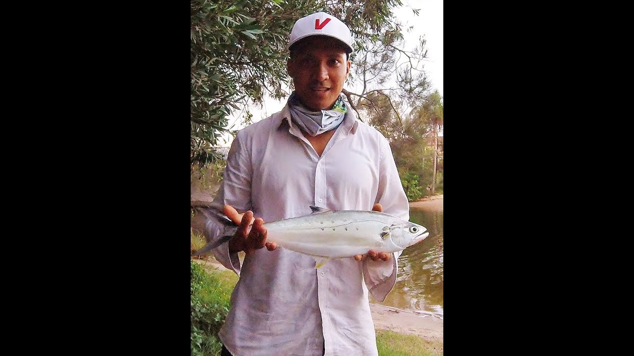 HOW TO CATCH QUEEN FISH, BIG I TREVALLY ESTUARY FISHING GOLD COAST