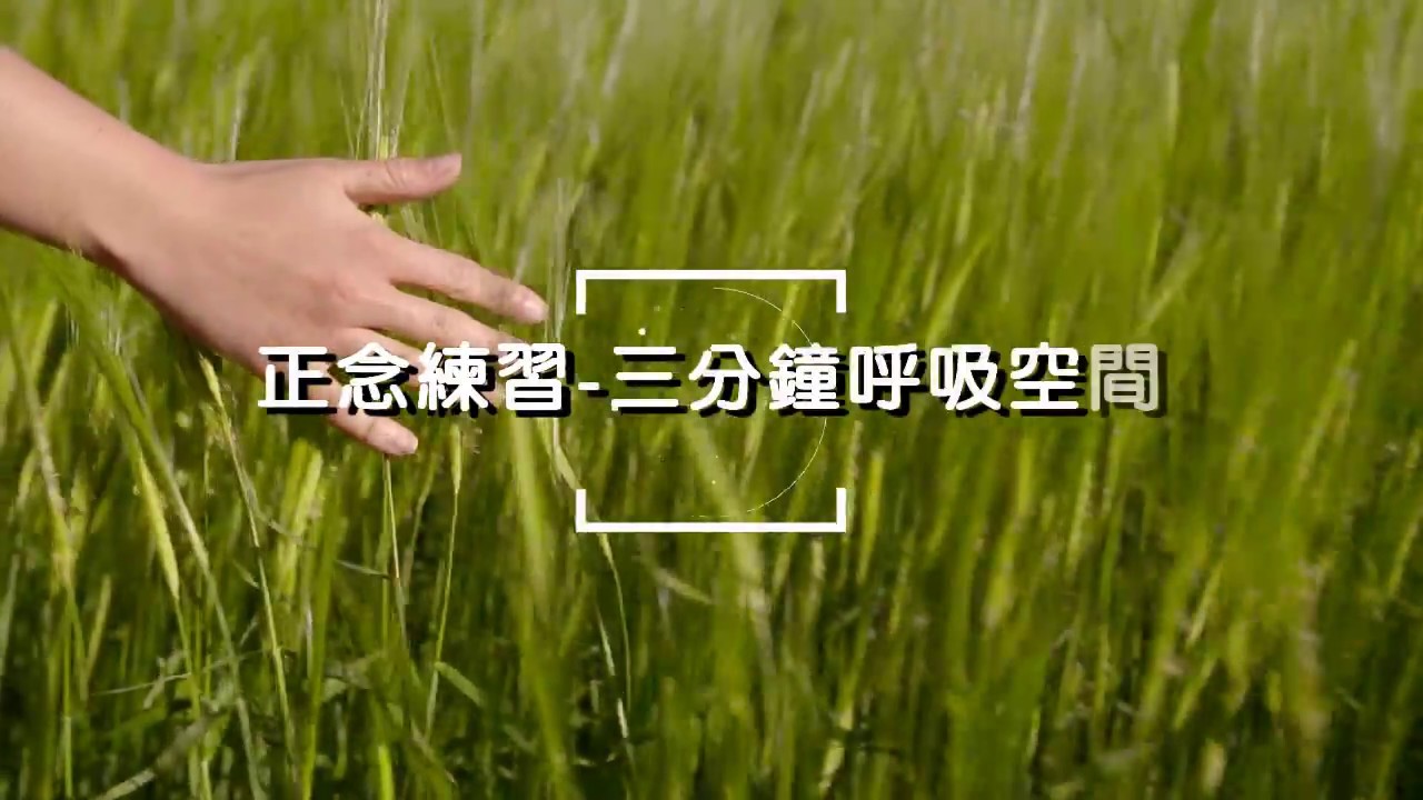 拉菲爾人本診所衛教 : 【正念引導練習】三分鐘呼吸空間  邱于真心理師 #正念 #正念呼吸 #拉菲爾 #智平衡 #智平衡健康集團