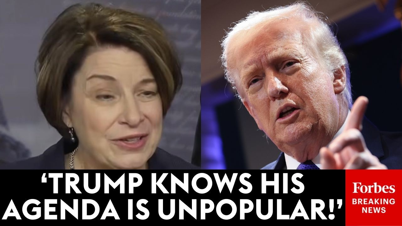 'He's Afraid Of The Voters!': Amy Klobuchar Lays Into Trump Ahead Of State Of The Union