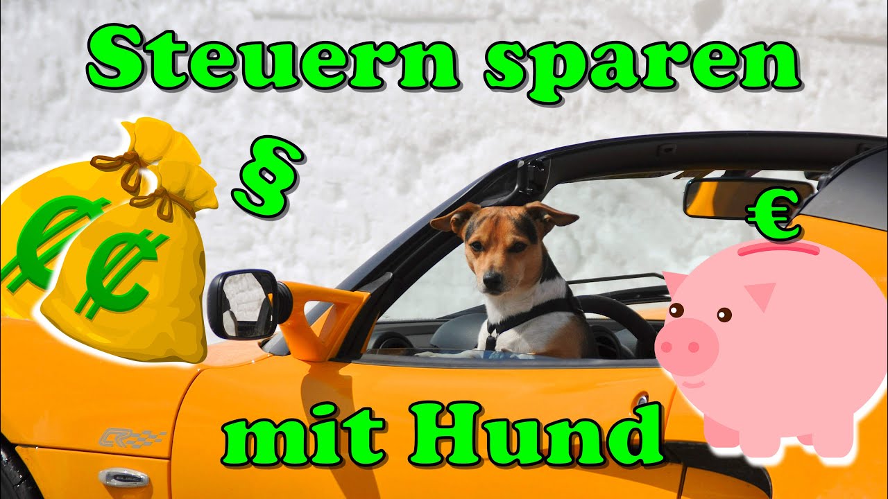 Hund in der Einkommensteuer / Steuern sparen mit Hund / Was kann ich absetzen ? / Nature Trails