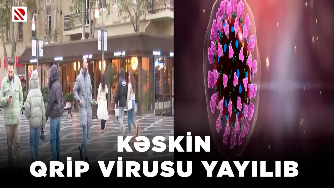 Kəskin qrip virusu yayılıb - Ölkədə donuz qripinin olması da istisna edilmir