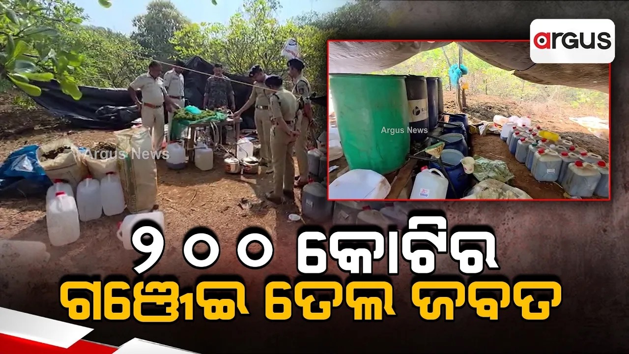 Massive Drug Bust In Koraput | Huge Ganja & Ganja Oil Seizure In Major Police Crackdown | Argus News