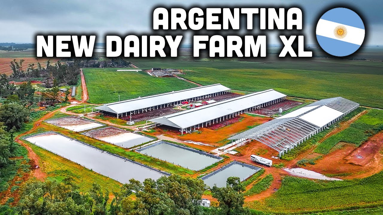 Cet agriculteur Argentin nous explique tout !  🇦🇷